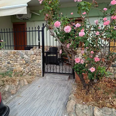 Angel 1 * Nea Plagia