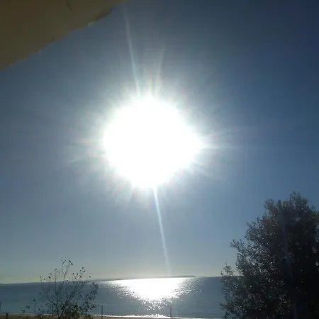 Angel 1 * Nea Plagia