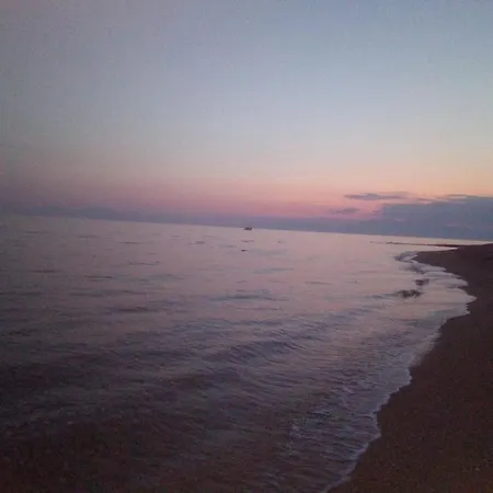 Angel 1 * Nea Plagia