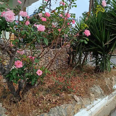 Angel 1 * Nea Plagia